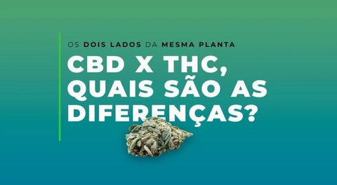 CBD vs. THC