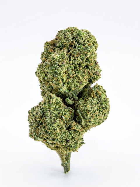 Skywalker (Indoor)