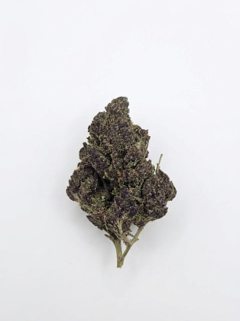 Purple Haze (Greenhouse)