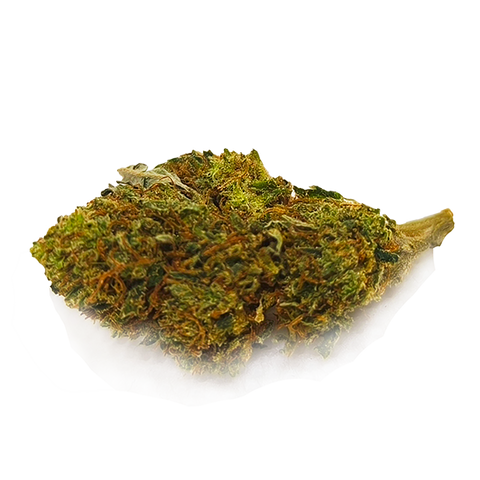 Pineapple (Greenhouse)