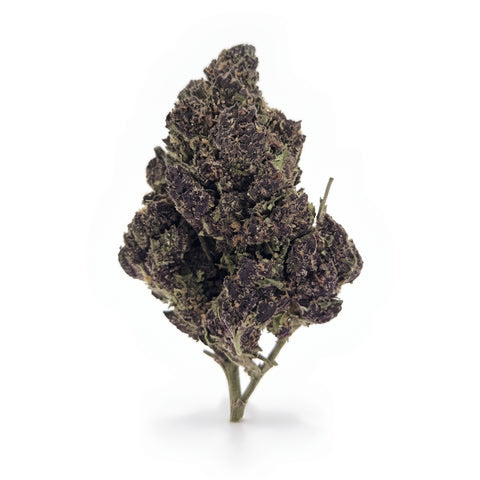 Purple Haze (Greenhouse)