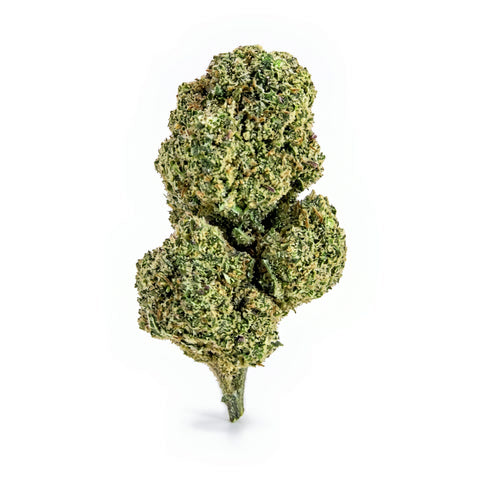 Skywalker (Indoor)